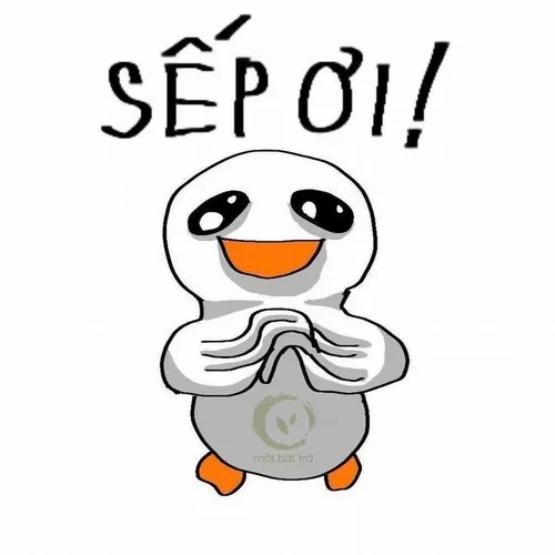 Vịt drama meme: Ánh mắt căng thẳng nhưng buồn cười mạnh