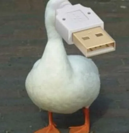 Meme vịt khai thác tiếng quạc nhẹ và bước lon ton.