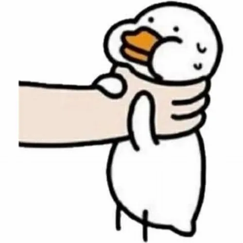 Vịt troll nhẹ meme: Cú châm biếm hài hước đúng chất vịt