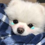 {"data":{"pictureId":"1aa80ff3af7f4bae95d5178c7512c5ae","appversion":"4.7.0","stickerId":"","filterId":"","infoStickerId":"","activityName":"","os":"android","product":"retouch"},"source_type":"douyin_beauty_me"}