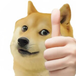 Chó Shiba giơ tay cao tràn đầy năng lượng Chó Shiba giơ tay cao tràn đầy năng lượng