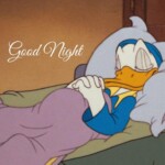 Meme hình chăn mềm chúc ngủ ngon bạn Meme ảnh bầu trời tím chúc ngủ ngon